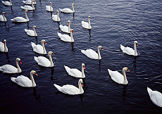 2001-204168-01
&copy; SIME