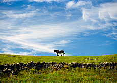 2001-204169-01
&copy; SIME