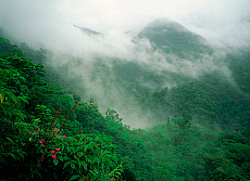 2001-210393-01
&copy; SIME