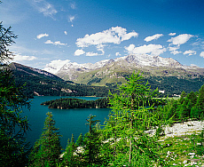 eStockPhoto Engadin Food Photos