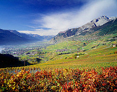 eStockPhoto Valais Food Photos