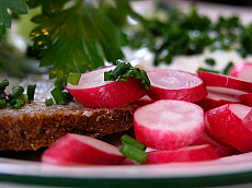 eStockPhoto Radish Food Photos