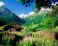 eStockPhoto Valais Food Photos