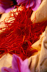 eStockPhoto Saffron Food Photos