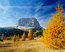 eStockPhoto Adige Food Photos
