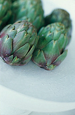 eStockPhoto Food Photos Of Artichokes