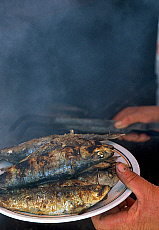 eStockPhoto Food Photos Of Sardines