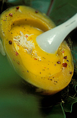 eStockPhoto Crab-meat Food Photos