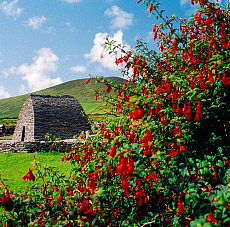 2001-214881-01
&copy; SIME