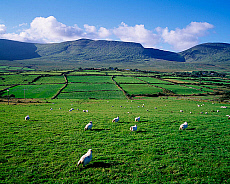 2001-215629-01
&copy; SIME