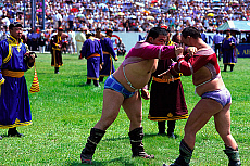Quality stock photography from estockphoto of naadam