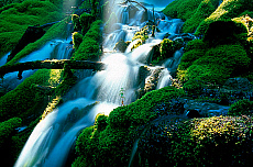 eStockPhoto Willamette Food Photos