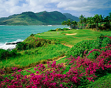 Quality stock photography from estockphoto of Kauai