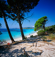 eStockPhoto Palombaggia Beach Travel Photos
