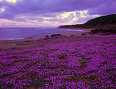 eStockPhoto Marina Beach Travel Photos