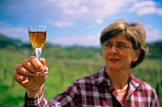 eStockPhoto Woman With White Wine Stock Photo