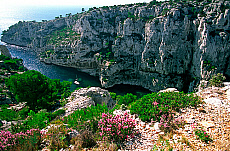 eStockPhoto Food Photos Of Cassis
