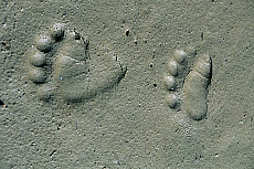 eStockPhoto Footstep Stock Photography
