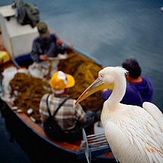 eStockPhoto Lesbos Island Travel Photos