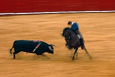 2001-218766-01
&copy; SIME