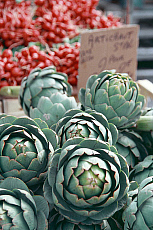 eStockPhoto Food Photos Of Artichokes