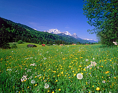 eStockPhoto Zugspitze Stock Photography