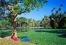Quality stock photography from estockphoto of kerala