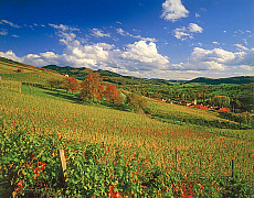 eStockPhoto Rhine Food Photos