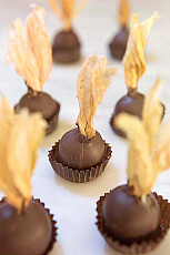 eStockPhoto Food Photos Of Chocolates