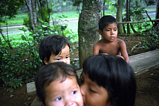 Quality stock photography from estockphoto of indios