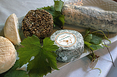 eStockPhoto food photos of Fresh