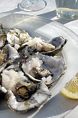 eStockPhoto Food Photos Of Oysters