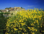 eStockPhoto Roussillon Food Photos
