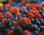 eStockPhoto Food Photos Of Raspberries