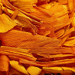 eStockPhoto Potpourri Food Photos