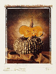 eStockPhoto Food Photos Of Pumpkins