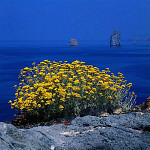 eStockPhoto Vulcano Island Travel Photos