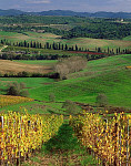 eStockPhoto Chianti Food Photos