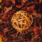 eStockPhoto Potpourri Food Photos