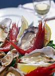 eStockPhoto Food Photos Of Mussels