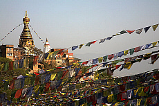 2001-247143-01
&copy; SIME