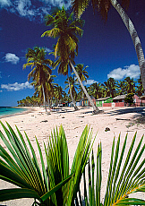 2001-249613-01
&copy; SIME