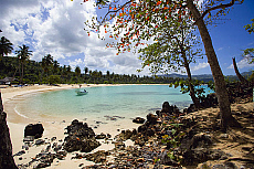 2001-250100-01
&copy; SIME