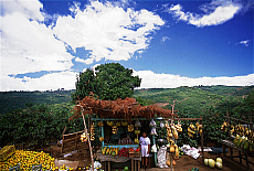 2001-251584-01
&copy; SIME