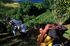 2001-251586-01
&copy; SIME