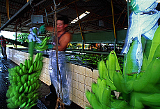 2001-251593-01
&copy; SIME
