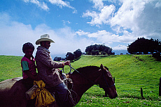 2001-251595-01
&copy; SIME