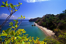 2001-251598-01
&copy; SIME