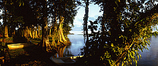 2001-251600-01
&copy; SIME