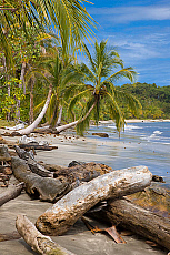 2001-253491-01
&copy; SIME